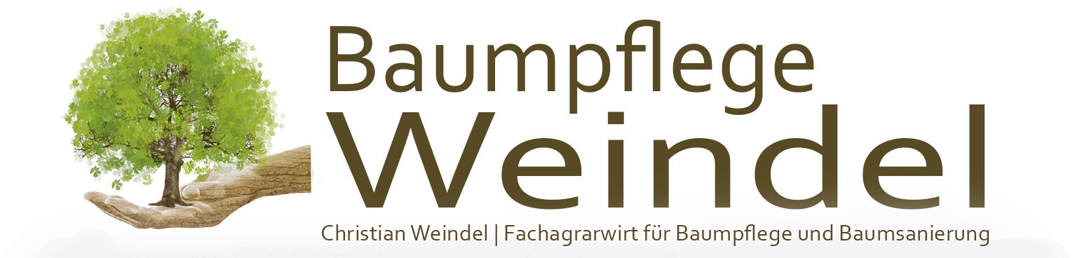 Baumpflege Weindel